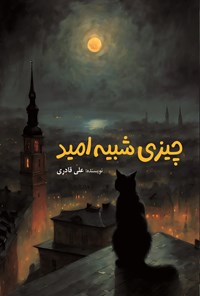 تصویر جلد کتاب چیزی شبیه امید