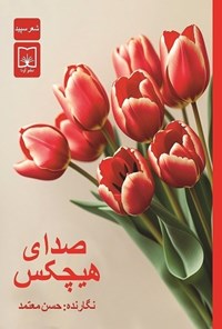 تصویر جلد کتاب صدای هیچکس