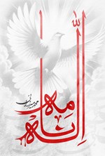 تصویر جلد کتاب اله نامه