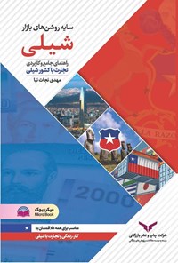 تصویر جلد کتاب سایه روشن های بازار شیلی