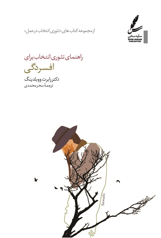 تصویر جلد کتاب راهنمای تئوری انتخاب برای افسردگی