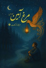 تصویر جلد کتاب مرغ آمین (جلد اول)