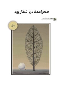 تصویر جلد کتاب صحرا همه درد انتظار بود