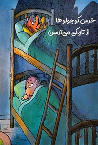 تصویر جلد کتاب خرس کوچولوها از تاریکی می ترسن