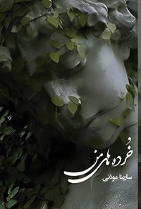 تصویر جلد کتاب خرده های من