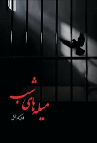 تصویر جلد کتاب میله های شب