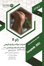 تصویر جلد کتاب زانو B؛ (1404)