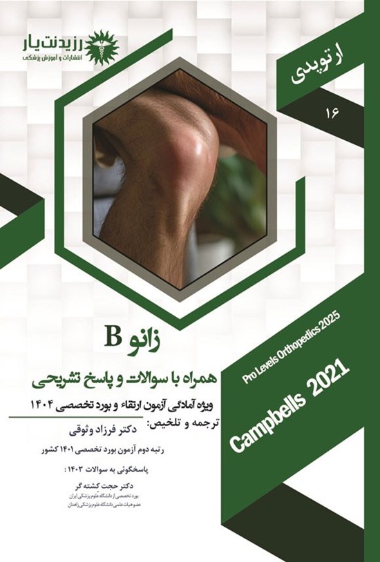 تصویر جلد کتاب زانو B؛ (1404)