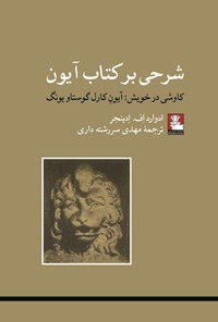 تصویر جلد کتاب شرحی بر کتاب آیون