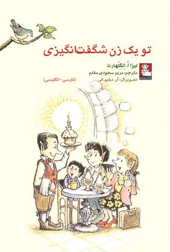 تصویر جلد کتاب تو یک زن شگفت انگیزی