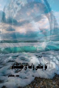 تصویر جلد کتاب تو پناهی واسه خستگیام