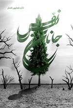 تصویر جلد کتاب نفس جانان