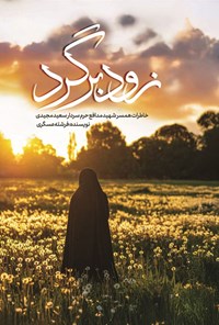 تصویر جلد کتاب زود برگرد