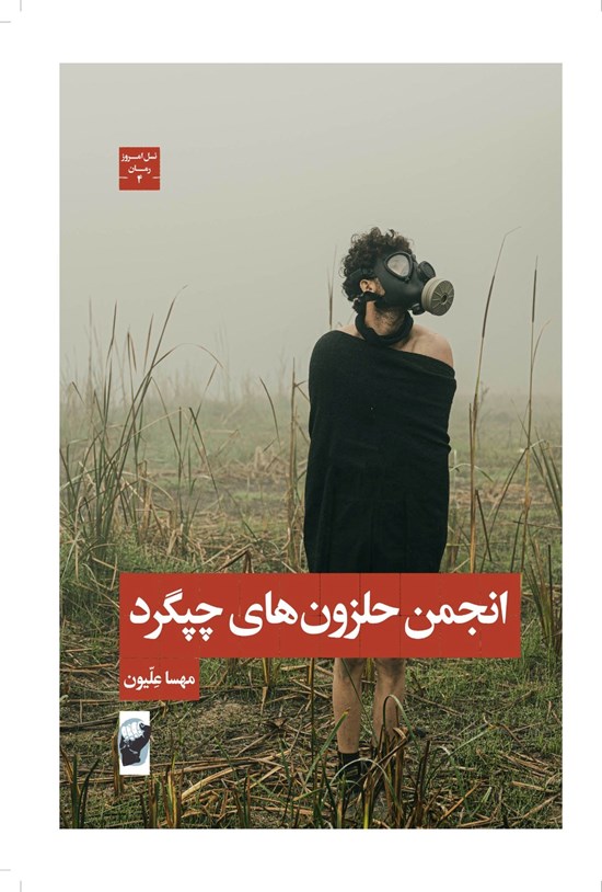 تصویر جلد کتاب انجمن حلزون های چپگرد