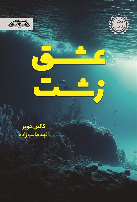 تصویر جلد کتاب عشق زشت
