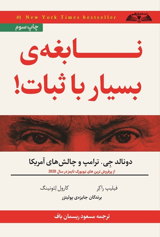 تصویر جلد کتاب نابغه بسیار باثبات!