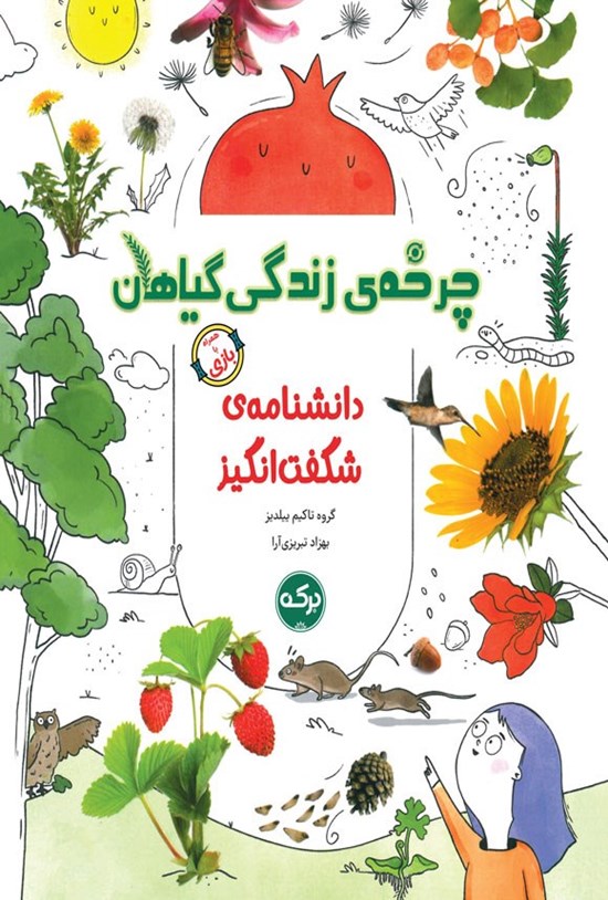 تصویر جلد کتاب دانشنامه شگفت انگیز چرخه زندگی گیاهان