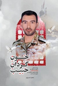 تصویر جلد کتاب جون گردان حبیب