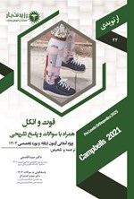 تصویر جلد کتاب فوت و انکل (1404)
