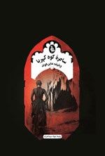 تصویر جلد کتاب ساحره کوه کهربا