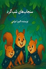 تصویر جلد کتاب سنجاب های شب گرد