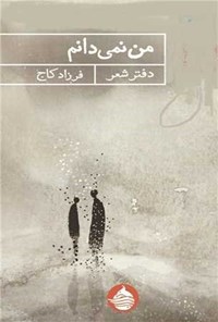 تصویر جلد کتاب من نمی دانم
