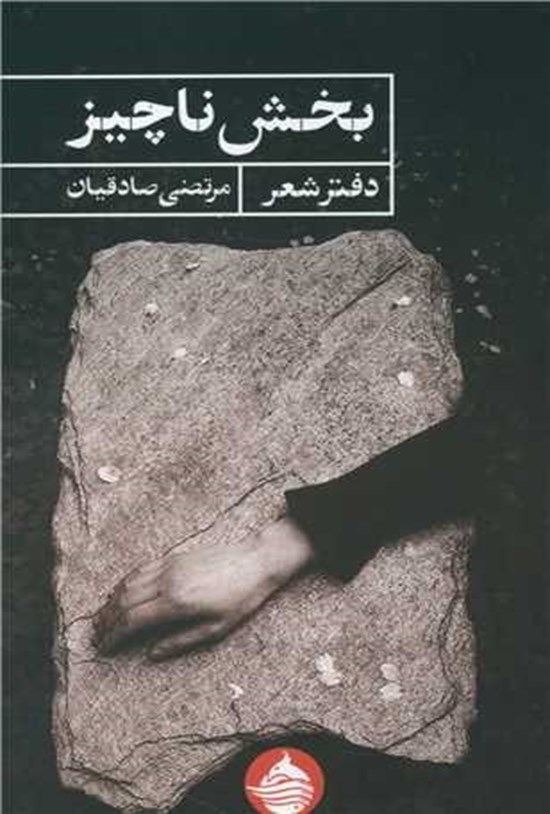 تصویر جلد کتاب بخش ناچیز