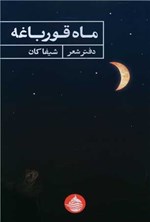 تصویر جلد کتاب ماه قورباغه