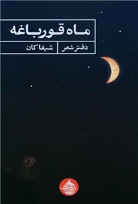 تصویر جلد کتاب ماه قورباغه