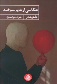 تصویر جلد کتاب عکاسی از شهر سوخته
