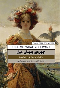 تصویر جلد کتاب چهره پنهان میل