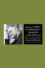تصویر جلد کتاب اسطوره کاوی نزد دنی دو روژمون