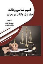 تصویر جلد کتاب آسیب شناسی وکالت (جلد اول)