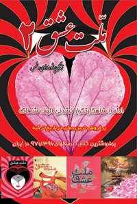 تصویر جلد کتاب ملت عشق ۲