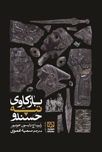 تصویر جلد کتاب بازکاوی تپه حسنلو