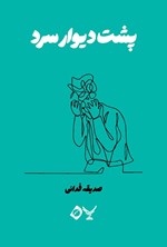 تصویر جلد کتاب پشت دیوار سرد