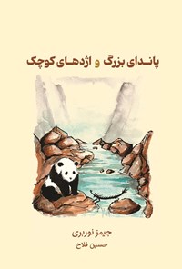 تصویر جلد کتاب پاندای بزرگ و اژدهای کوچک