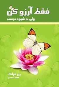 تصویر جلد کتاب فقط آرزو کن (ولی به شیوه درست)