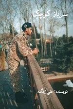 تصویر جلد کتاب سرباز کوچک