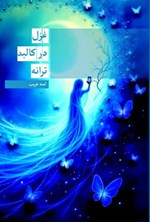 تصویر جلد کتاب غزل در کالبد ترانه