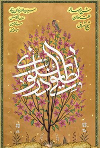 تصویر جلد کتاب لطایفی در سلوک