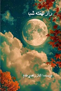 تصویر جلد کتاب راز نهفته شب