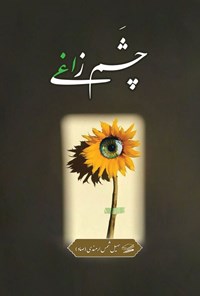 تصویر جلد کتاب چشم زاغی