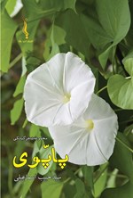 تصویر جلد کتاب پاپوی