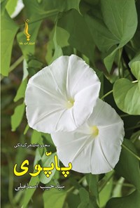 تصویر جلد کتاب پاپوی