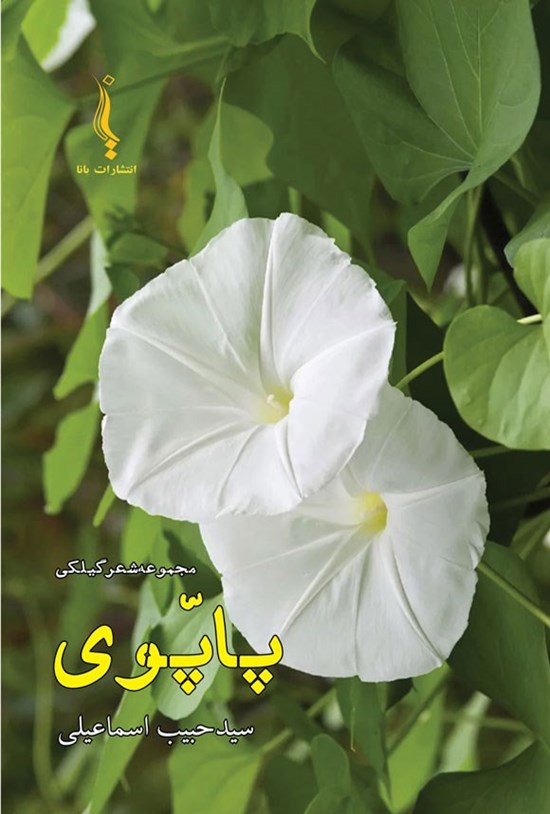 تصویر جلد کتاب پاپوی