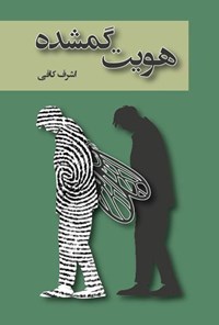تصویر جلد کتاب هویت گمشده