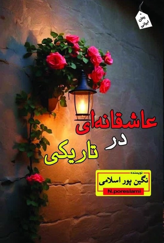 تصویر جلد کتاب عاشقانه ای در تاریکی