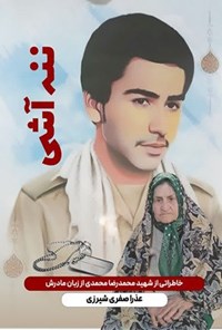تصویر جلد کتاب ننه آشی