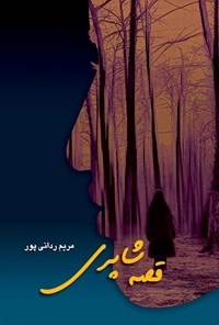 تصویر جلد کتاب قصه شاپری